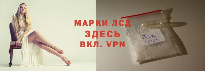 СК Балахна