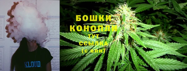 ПСИЛОЦИБИНОВЫЕ ГРИБЫ Балабаново