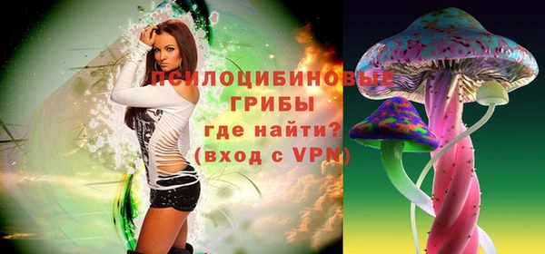 ПСИЛОЦИБИНОВЫЕ ГРИБЫ Балабаново