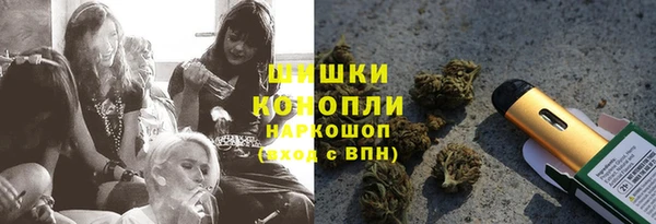 ПСИЛОЦИБИНОВЫЕ ГРИБЫ Балабаново