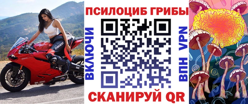 купить наркоту  Губкинский  мориарти наркотические препараты  Галлюциногенные грибы ЛСД 